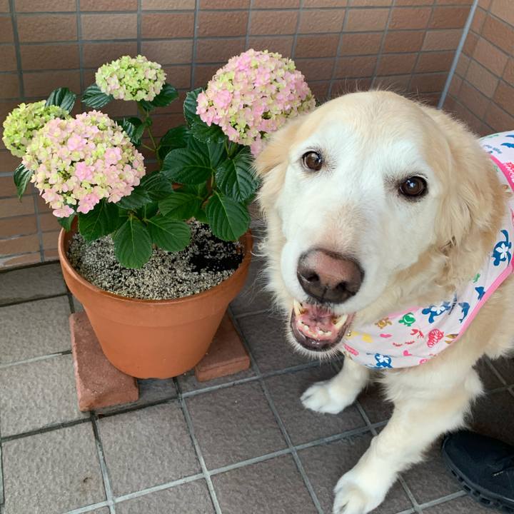 4f343100 44a9 4f20 9400 f598383a2fed 1654218261460