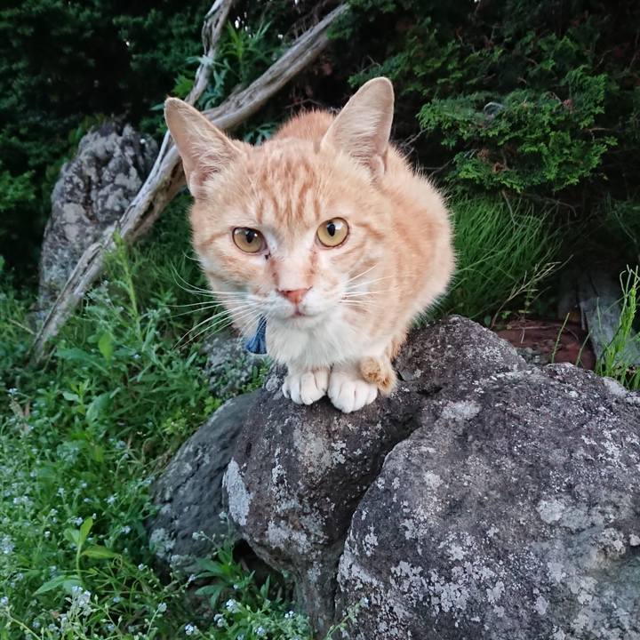 4f343337 eb28 44de 83d1 b65ba1dd910b 1559383816547