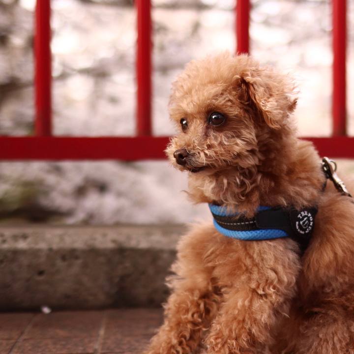 4f344cc4 dc85 4cb5 b938 91566c398a2a 1665148369003