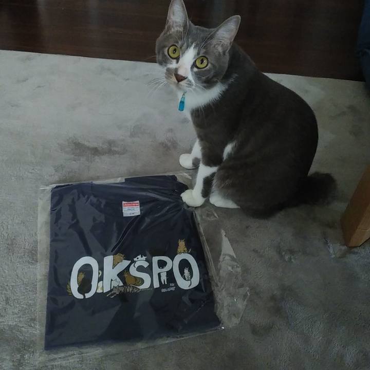 4f344f75 1734 4e4a b23e d59f43d4d7f3 1592544438852