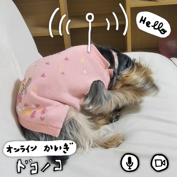 4f345af2 4471 47f9 bb2b 3978c5126bb9 1590838489363