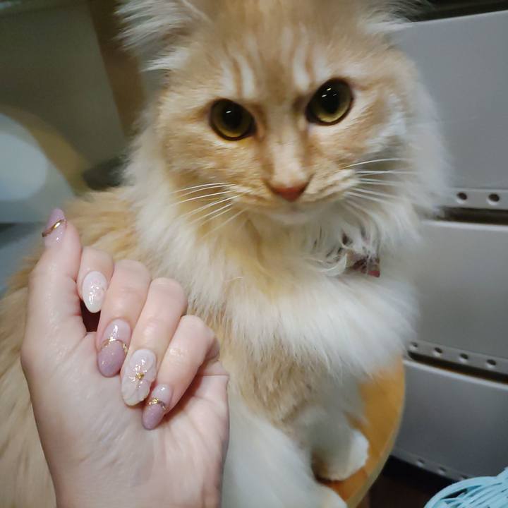 4f34622e 1592 442a bdcc 53a615344e1b 1709733065171