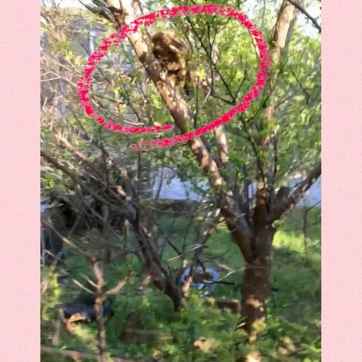 4f34c207 3f0c 4d2b bdf7 e0ce9de6429d 1743586580585