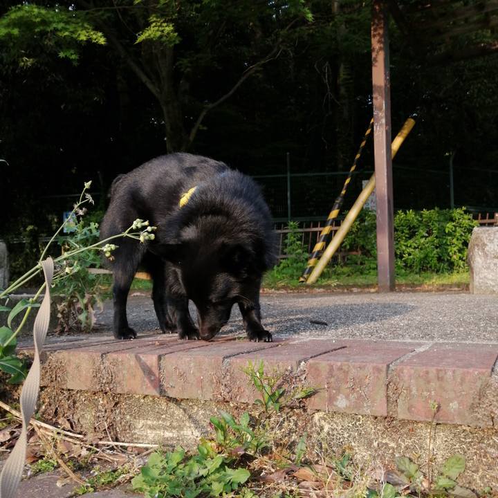 4f34c867 be57 4b4c b8b8 f097f57a0cb4 1591045353790