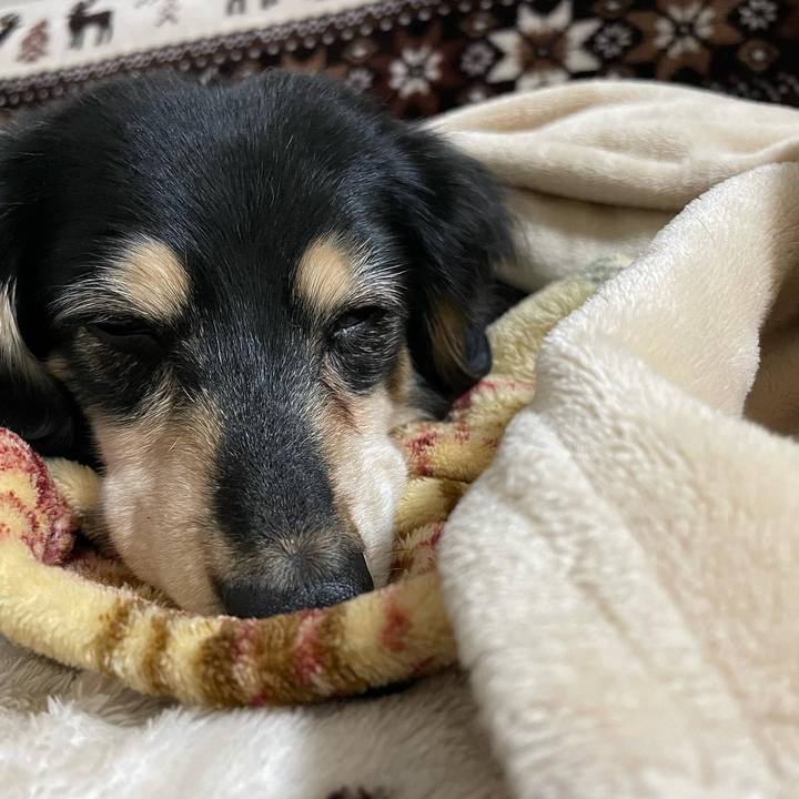 4f356b3d 8e81 4bb3 8902 0162204ae1e5 1670150129827