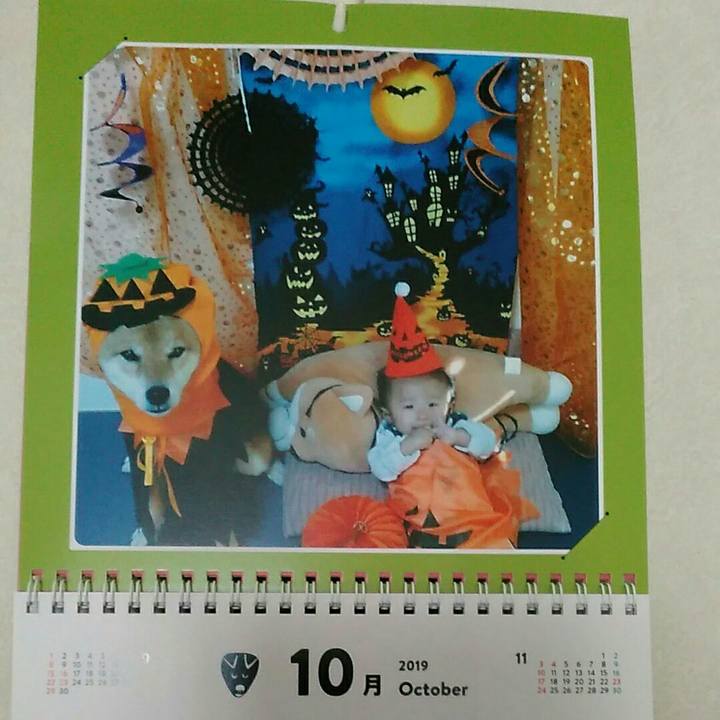 4f35aa27 c8fa 411f 8660 352c91cbc596 1569887969477