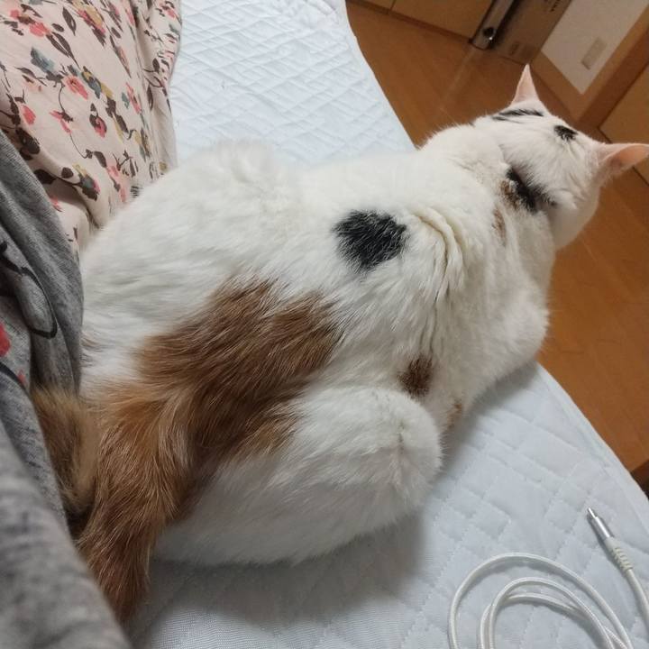 4f35b348 e3fb 41af 8dee ad610681b880 1661257332147