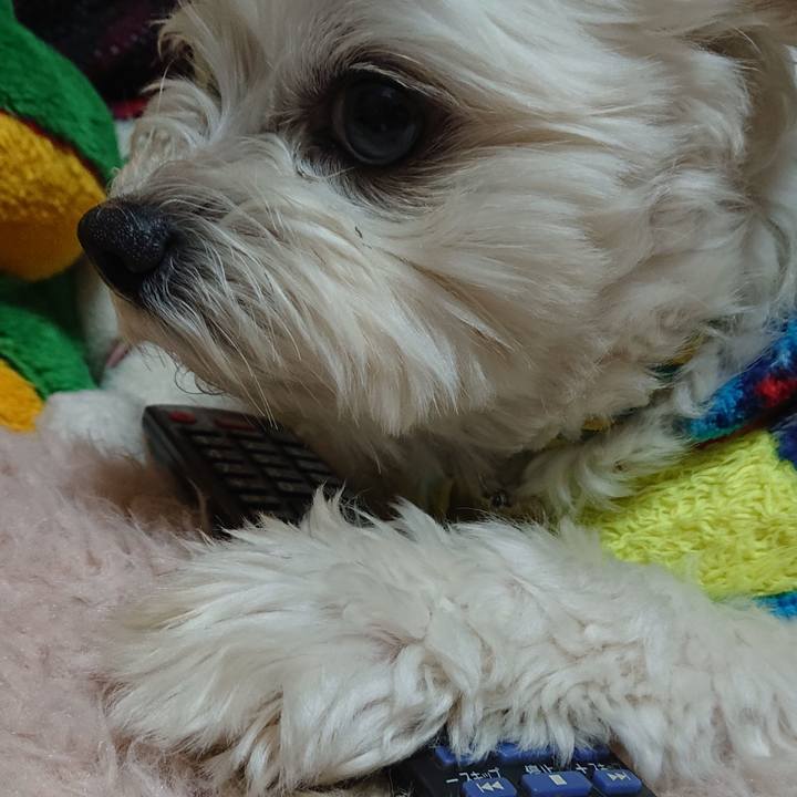 4f35de79 1bfc 4e60 b14b 1a0d7e207340 1579858169228