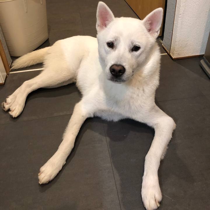 4f35e386 86bf 445f bfa5 53b2ca677862 1564059548978