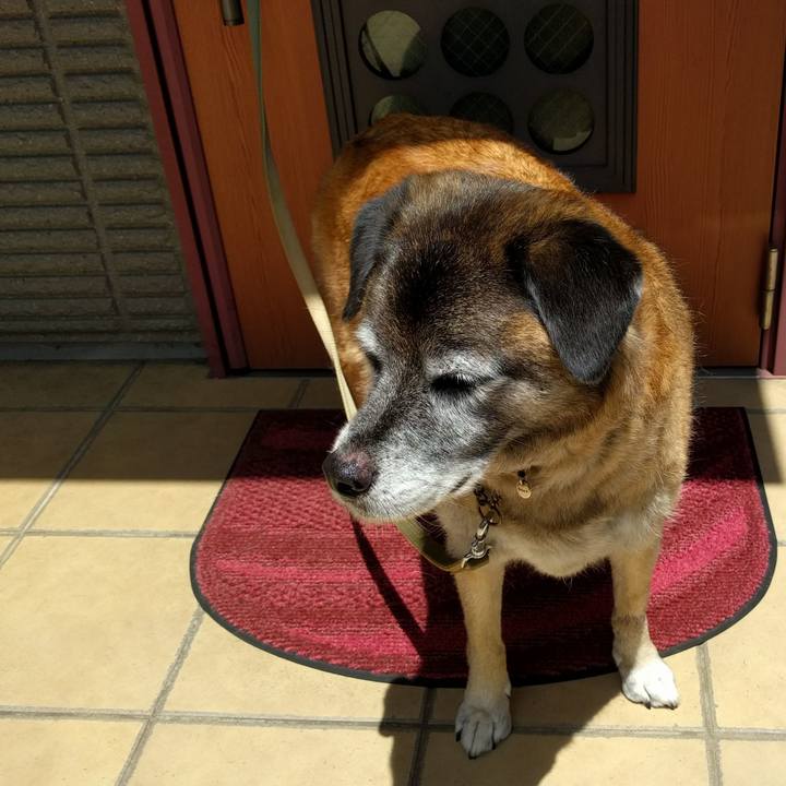 4f3615a3 b1ec 4da8 92cf b4e9543b655a 1531190204775