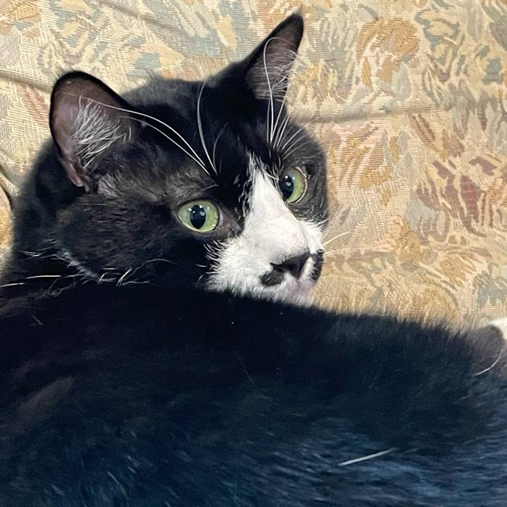 4f3615d7 a968 4f93 977d 95d5268b676d 1760143131594