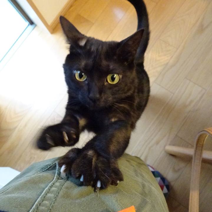 4f36418a 83d7 4c65 9f43 a9495a2fb7e1 1524023826699