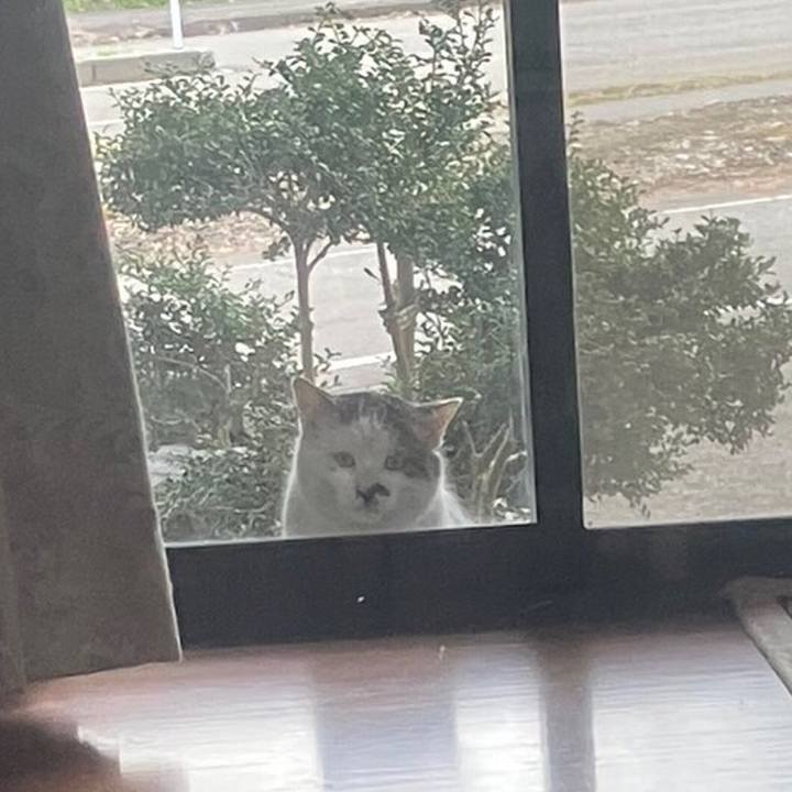 4f3644a1 6716 43a3 a2e6 9eba971d7ec6 1681647584746