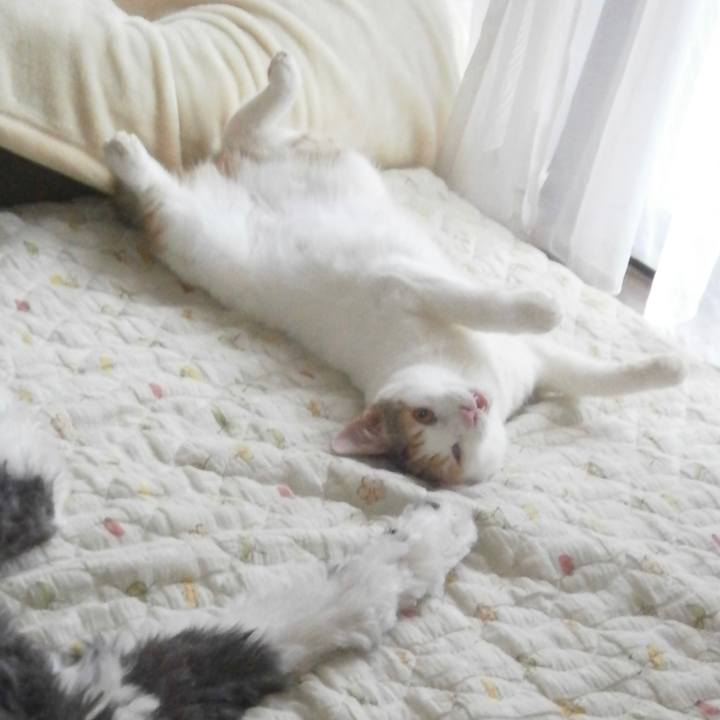 4f364f1a 1ed6 46dd 8ded 7310055bdaa0 1603670458582