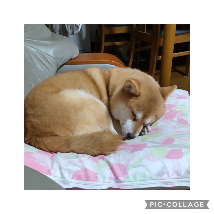 4f36590b 47ee 4986 bc20 46fb1a2de7d5 1762775692388