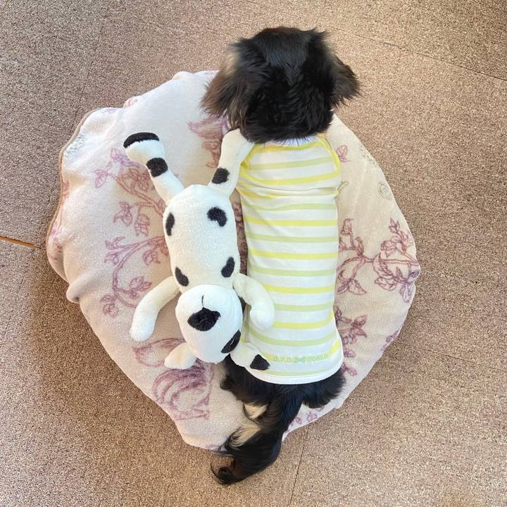 4f36953a 9134 469c bd1c a59220a2e63f 1678232989388