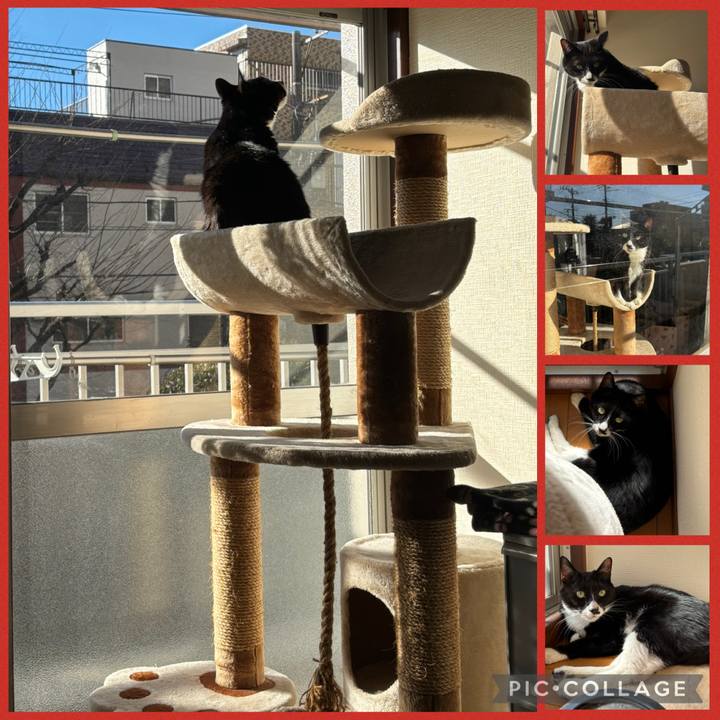 4f36a12c b89e 4027 a784 a700b2c2a43a 1769312793250