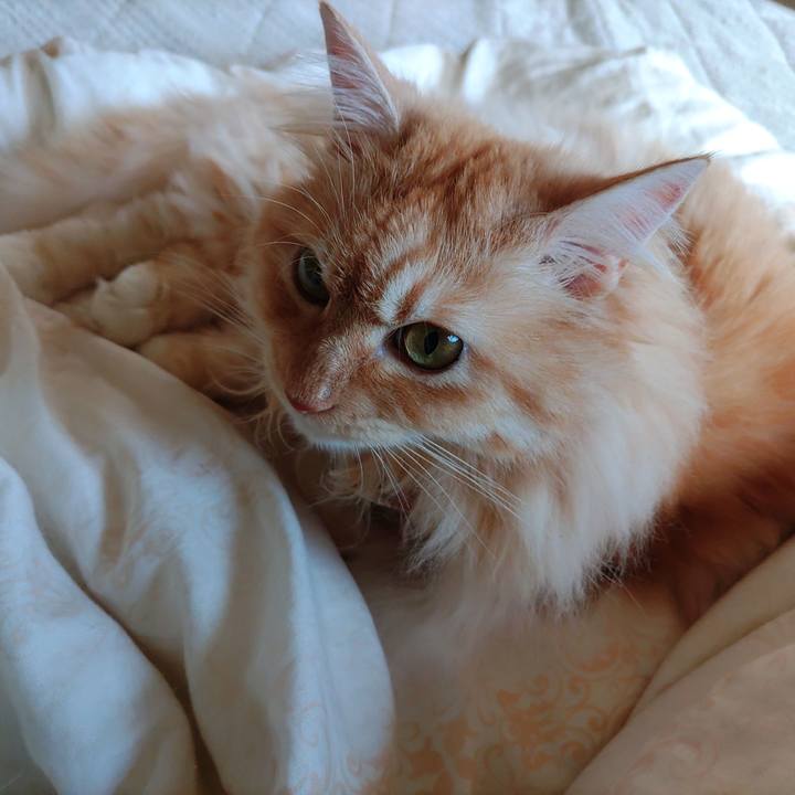 4f36f72e c47a 48a5 8eee 25ae41f4be85 1719623968076