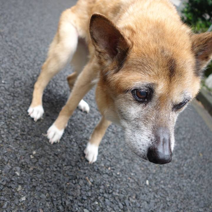 4f370bc1 a65a 41bc b149 9b8ceaebe0c2 1561674177265