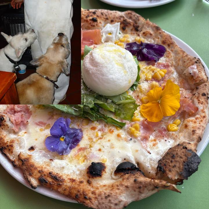 4f370e0a c2b0 4e15 b533 f63a42e998ca 1764407705845