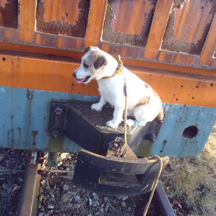 4f371765 8a67 4948 90db 3d7c247f3c11 1544176223881