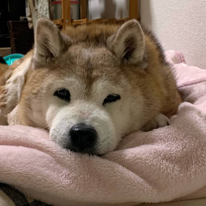 4f37304f 453e 4e50 abd3 397c24d0b449 1671457215842