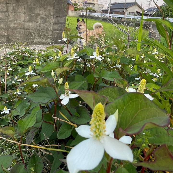 4f3733b2 a560 4186 b5d7 d64259cbe615 1653398500649