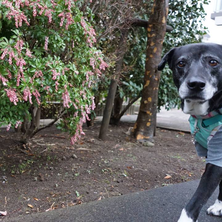 4f3786e9 b802 4171 a788 971e5ebfb01d 1772067275320