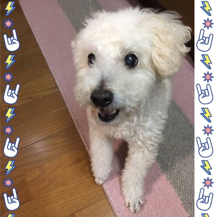 4f378ecc a0bd 4b54 935f 828cc05d4019 1517749038855