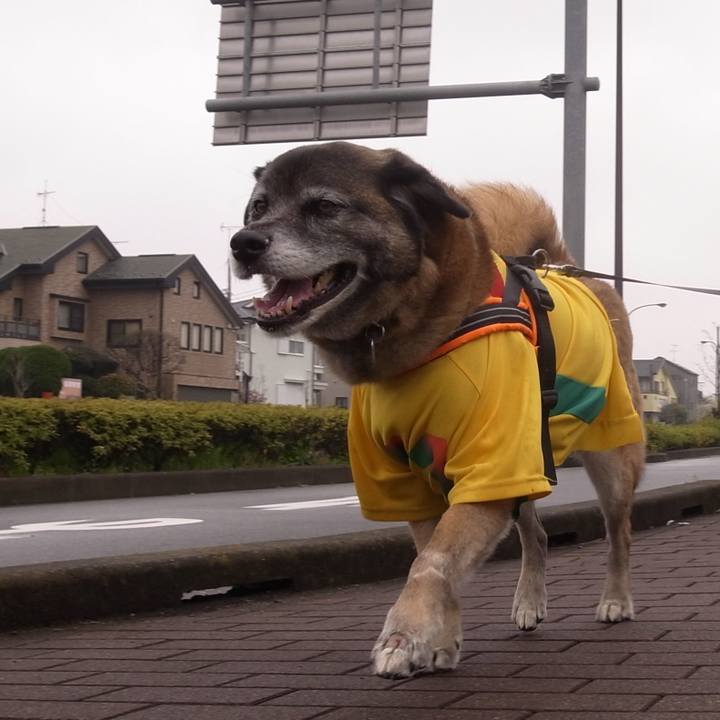 4f379284 39d7 4648 8795 cb22fe693550 1585268700862