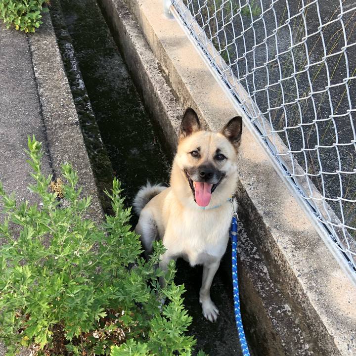 4f37cc2c b5ad 4f83 b174 0a46df7848eb 1531912665238