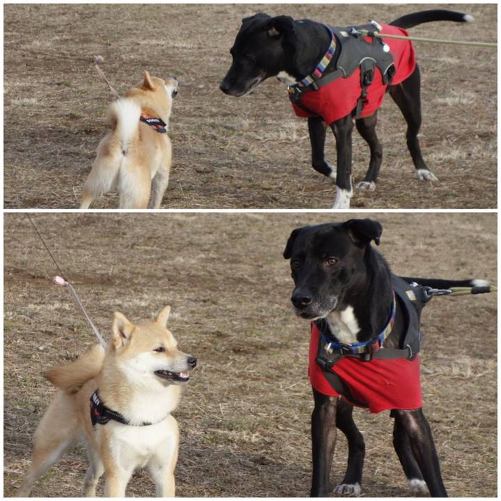 4f37d4e3 4dc4 4826 a232 bcab2db83ce7 1642985974550