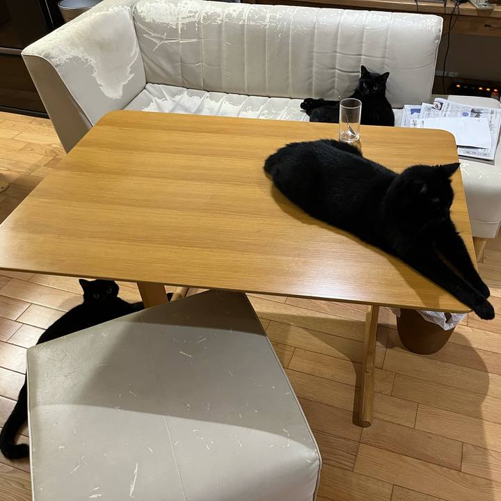 4f37f950 c726 4a60 8538 e3d4520ca5e4 1722432044792