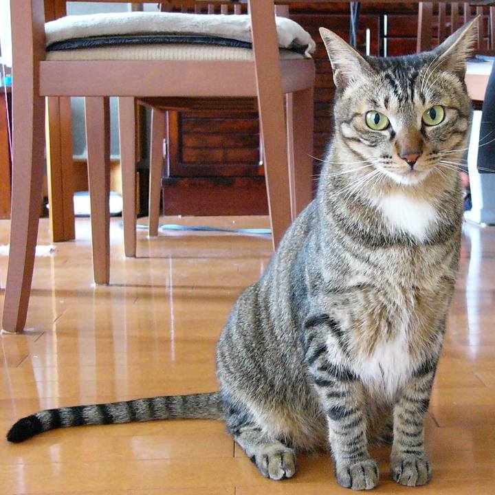 4f381ef6 4117 4658 95f4 eb649b98d187 1584080681497