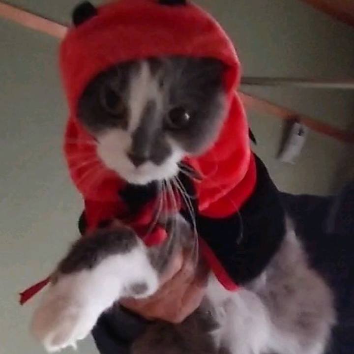 4f3838fc 0377 4b0d 8103 20324504b6cb 1635663213078