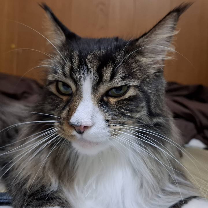 4f387c49 0f50 411a a5bb f569e376ceec 1755754434624