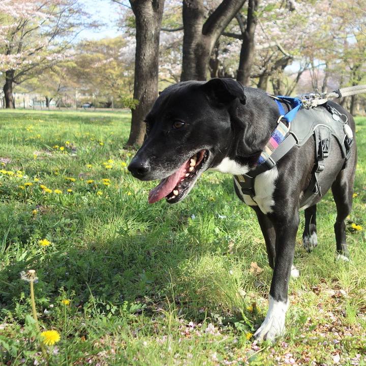 4f38a607 6add 4b26 af89 06353eb12157 1649551657319