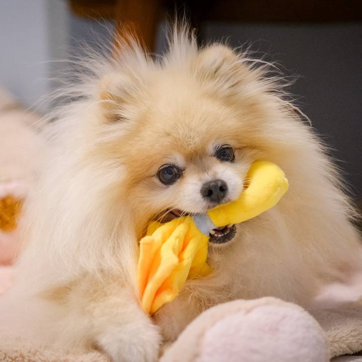 4f38acdc c31b 4179 9e1d 11717fa883fc 1630258141499