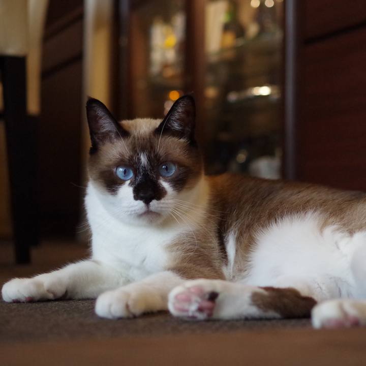 4f38b2c4 4193 492e 9bf3 d4dd778b4703 1562640438854