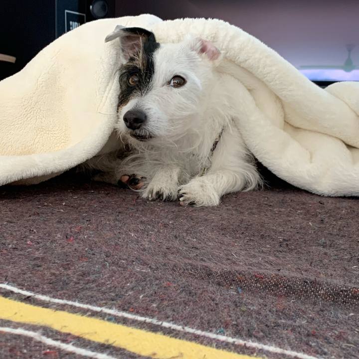 4f38b705 bb8f 4c76 b52a 86cbd1462fc0 1674611958125