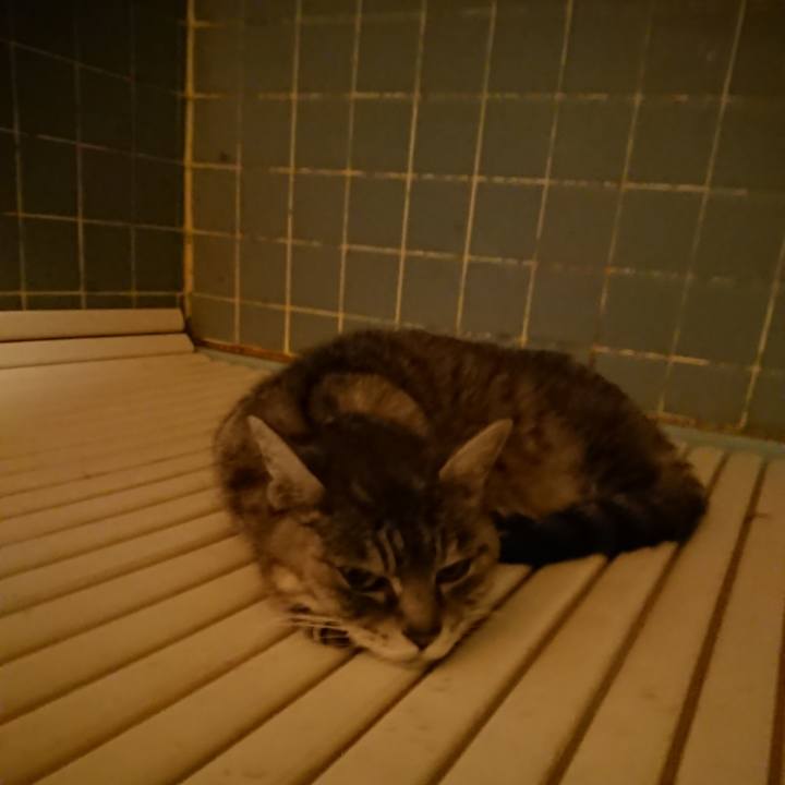 4f39029c 523e 4e28 b256 02295fbfd2da 1581847588474