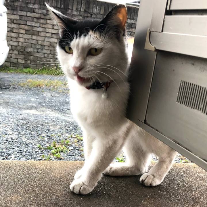 4f39198c d4af 45b8 8eee ac054c74dbb1 1622671962734