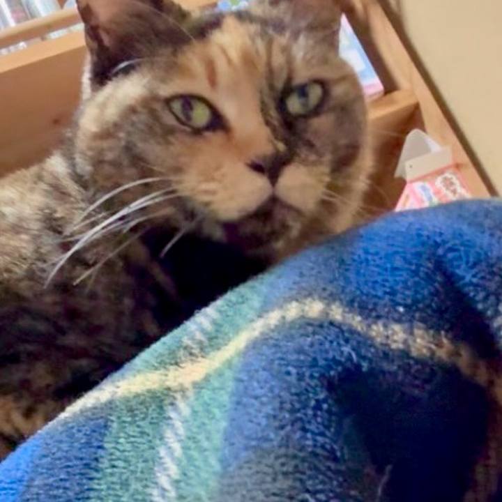 4f393d95 f85d 45d4 b1c2 0d5a0a988943 1771940323626