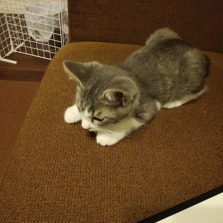 4f395045 4b9a 4010 a385 dd14c1edf1d4 1564236680990