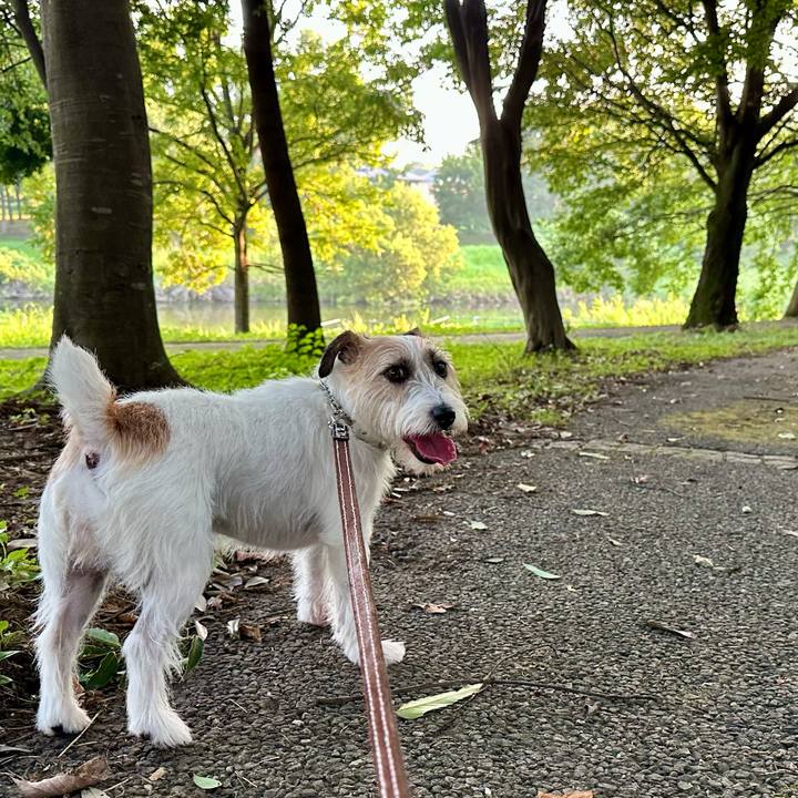 4f395230 131d 49df ad07 580b287dd63a 1754267283142