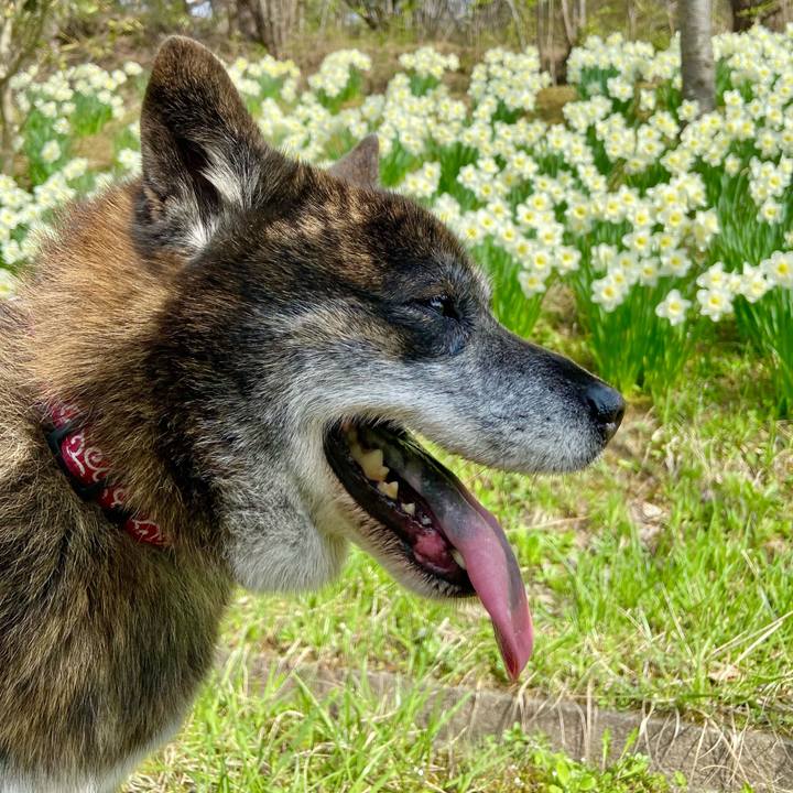 4f395aed 73aa 497d aa2b 2ddd4e0f6951 1649681846055