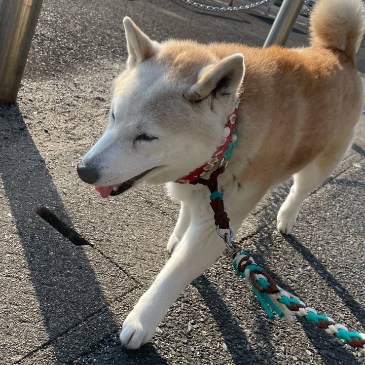 4f39647f 7584 4742 aa3b b4f1e2fffc09 1645837814707