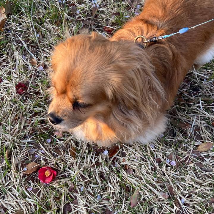 4f396aa2 ee0e 4c75 938a 796d4e2579f6 1586382519383