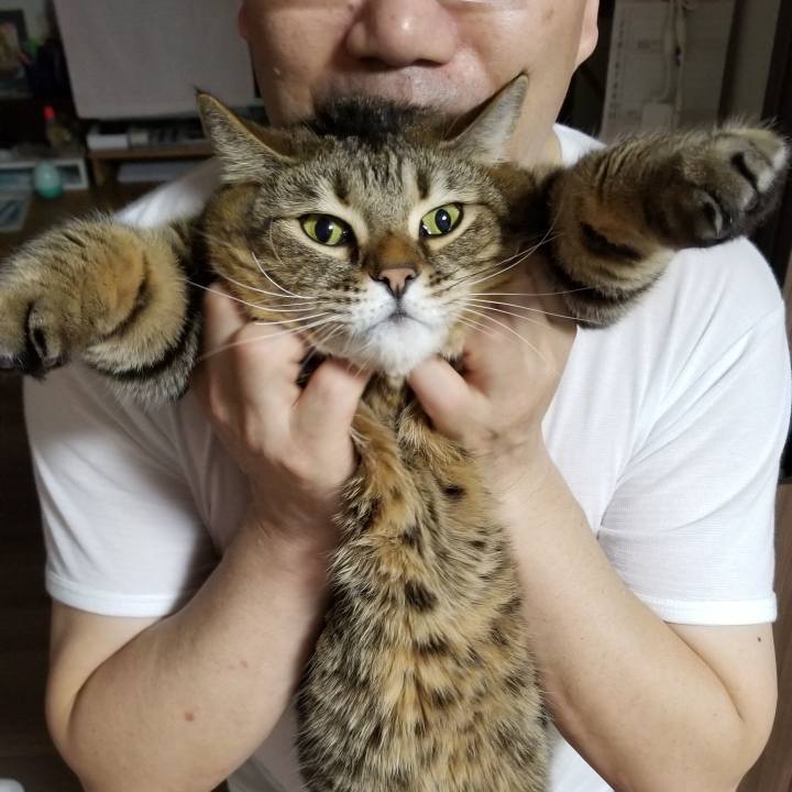 4f399ddb cf3e 4184 a7fe 6ba024687469 1579001166977