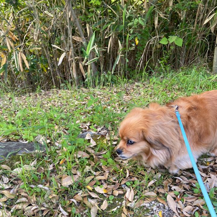 4f399fad cf13 4d10 a392 44af8f2e306b 1652305190125